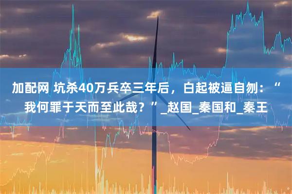 加配网 坑杀40万兵卒三年后,白起被逼自刎:“我何罪于天而至此哉?”_赵国_秦国和_秦王