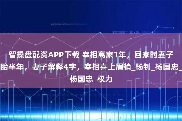 智操盘配资APP下载 宰相离家1年，回家时妻子已怀胎半年，妻子解释4字，宰相喜上眉梢_杨钊_杨国忠_权力