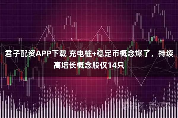 君子配资APP下载 充电桩+稳定币概念爆了，持续高增长概念股仅14只