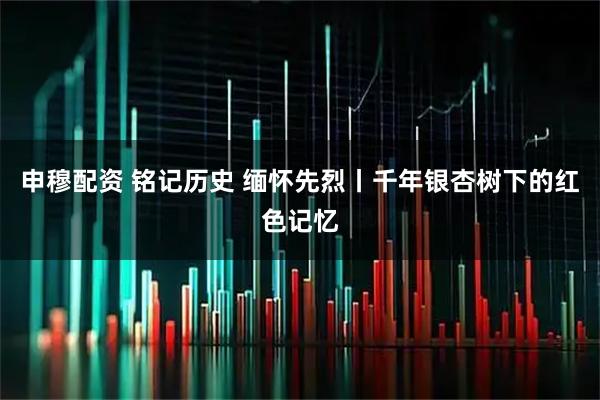 申穆配资 铭记历史 缅怀先烈丨千年银杏树下的红色记忆